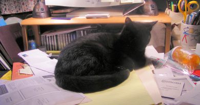From the Archives: Lucy on the Desk, and Four on the Floor From the Archives: Lucy on the Desk, and Four on the Floor