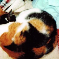 PennySleeping