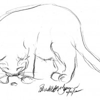 pencil sketch of cat with stink bug