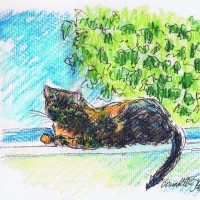 042912-KellyWindow