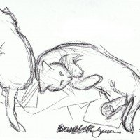 050212-TwoOnDesk
