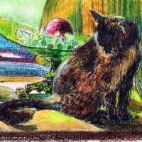 ink and watercolor sketch of cat with still life