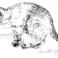ink sketch of cat drinking water