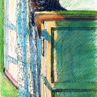 ink and watercolor sketch of cat