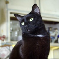 052011-JBScratchMeHere