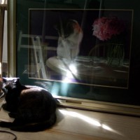 black cat sleeping in front of painting on floor