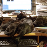 And then I gave up work for the day...