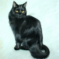 A Mother's Day gift: Hobbes, pastel, 12" x 15", 2004 © B.E. Kazmarski