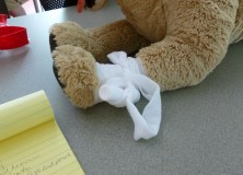 A successful bandage.