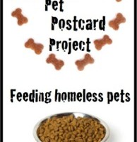 th epet postcard project
