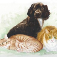 watercolor portrait of dog and two cats