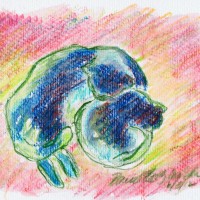 watercolor of two cats curled together