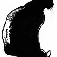 ink silhouette sketch of black cat