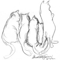 pencil sketch of five cats