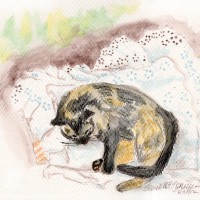 paitning of tortoiseshell cat napping on eyelet pillowcase
