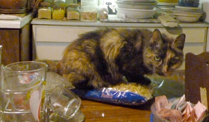CookiePastaBag-00