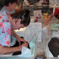 photo of clinic intake