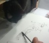 black cat watching pencil
