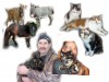 composite for portrait
