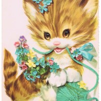 image of kitten birthday card