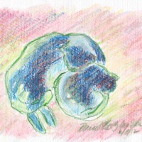 watercolor of two cats