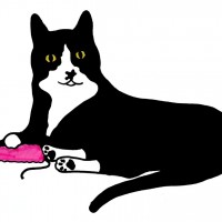 marker sketch of black and white cat with pink mouse