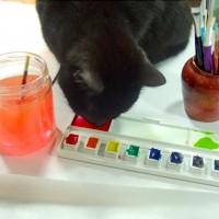 030512-SunshineCherryPaint