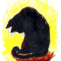072012-LookingClosely