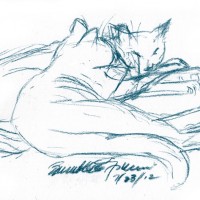 sketch of two cats napping