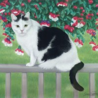pastel portraits of black and white cat on deck railing with fuchsia