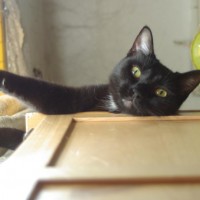 080111-JB-UpsideDown