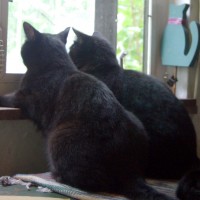 080811-TwoAtWindow
