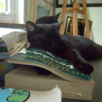 black cat sleeping with a paw in a book