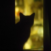 082211-MimiInWindow