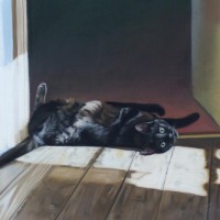 portrait of black cat on floor