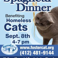 FosterCat-2012SpaghettiDinnerFlyer