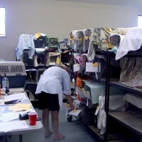 cats in recovery in TNR clinic