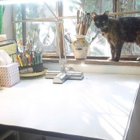 tortoiseshell cat on windowsill