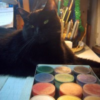 black cat with paints