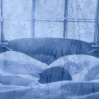 blue photo collage of cats on bed with water pattern