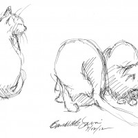 ink sketch of three cats