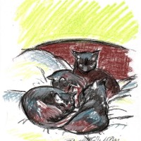 pastel sketch of four black cats on bed