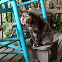 092311-CookieContemplates