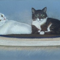 portrait of two cats on rug