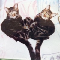 AlexSuzy