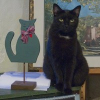 black cat with blue wooden kitty