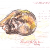 KellyBall-September12DesktopCalendar-reg