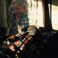 101611-Colorful Nap-crop