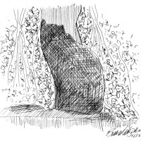 ink sketch of cat looking out window