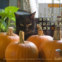 desktop calendar with black cat and pumpkins
